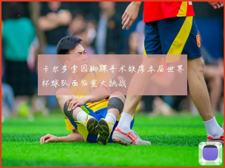 卡尔多索因脚踝手术缺席本届世界杯球队面临重大挑战