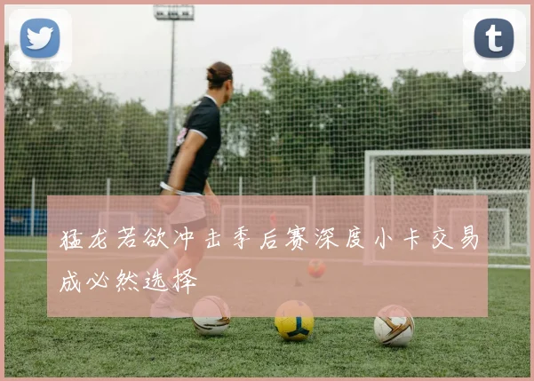 猛龙若欲冲击季后赛深度小卡交易成必然选择